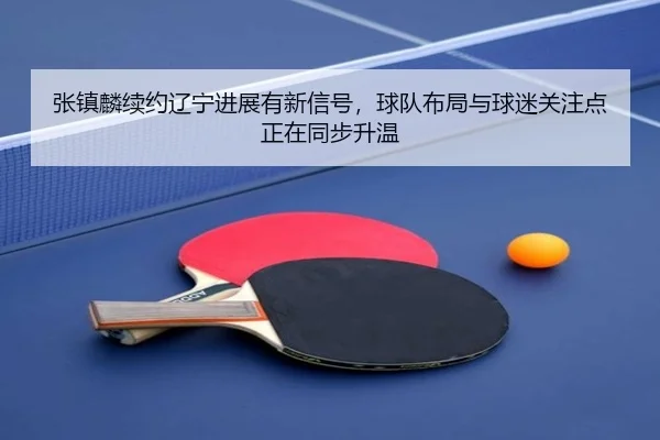 张镇麟续约辽宁进展有新信号，球队布局与球迷关注点正在同步升温